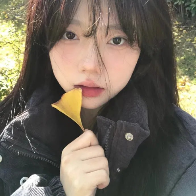 夺宝记